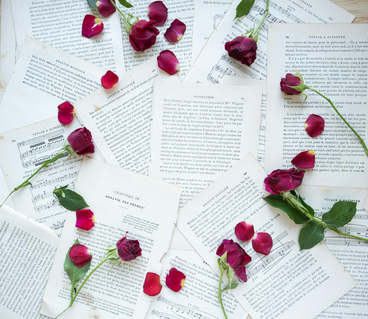 romantic-red-roses-on-vintage-music-sheets-32882165